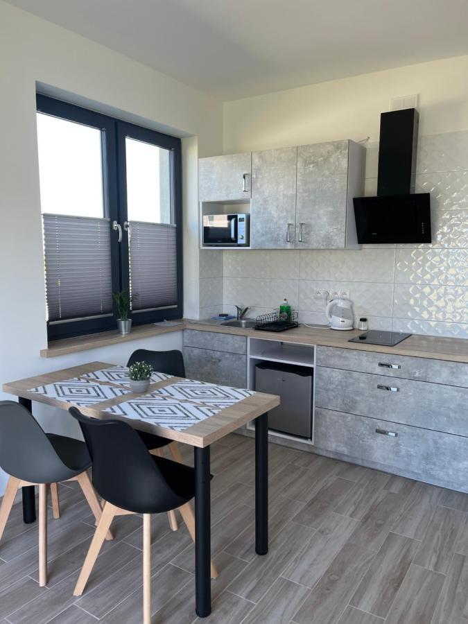 Apartamenty Pod Jodlami ساربينوفو المظهر الخارجي الصورة